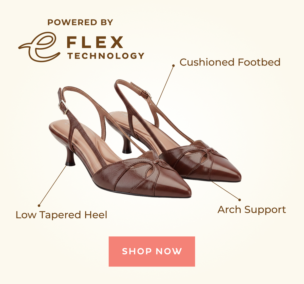[ SHOP NOW ]