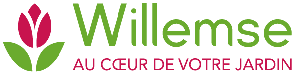 Logo Willemse
