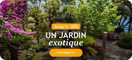 Un jardin exotique