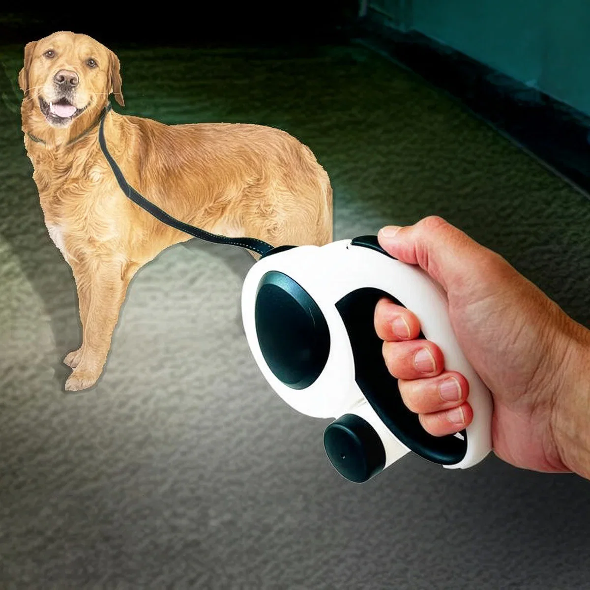 Image of 16ft Retractable Leash with LED Flashlight and Bag Dispenser