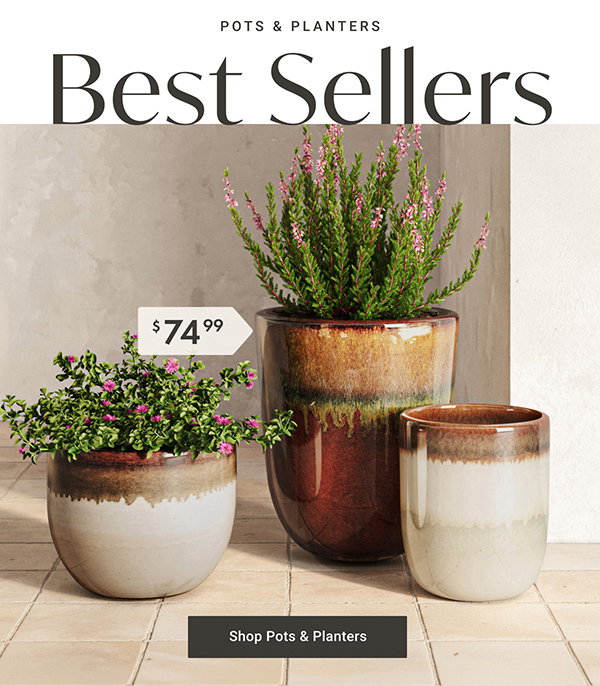 Pots & Planters: Best Sellers - Shop Pots & Planters