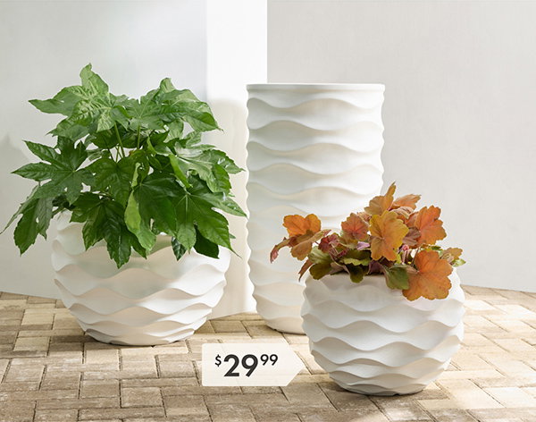 While Planter Lifestyle