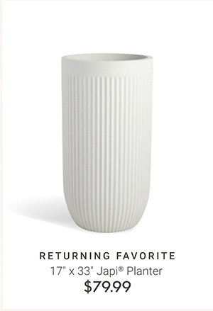 17" x 33" Japi Planter