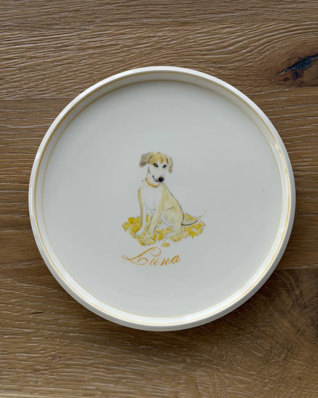 Image of Pre-Order for Ceramic Pet Portraits