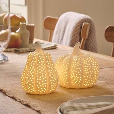 Lot de Citrouille & Courge Lumineuses en Porcelaine Blanche Mate