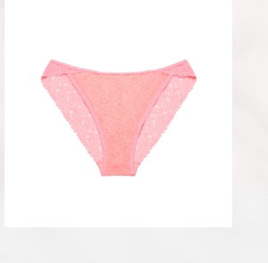 Mini Cheeky Panty in Ultra Lace in Conch Shell
