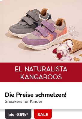Campaign 13