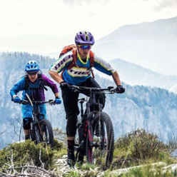 Mountainbikes Kategorien-Teaser