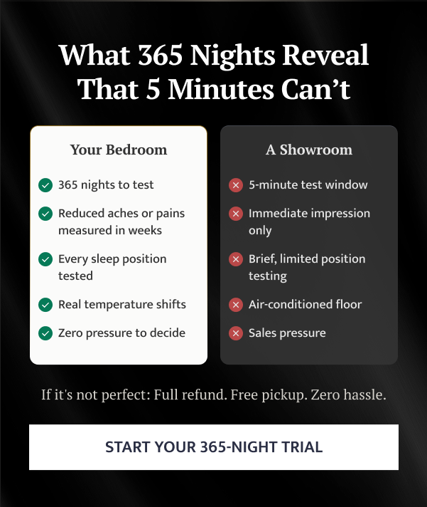365 Night Trial