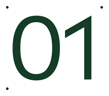 Step 01.