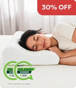 Shop Ecosa Pillow