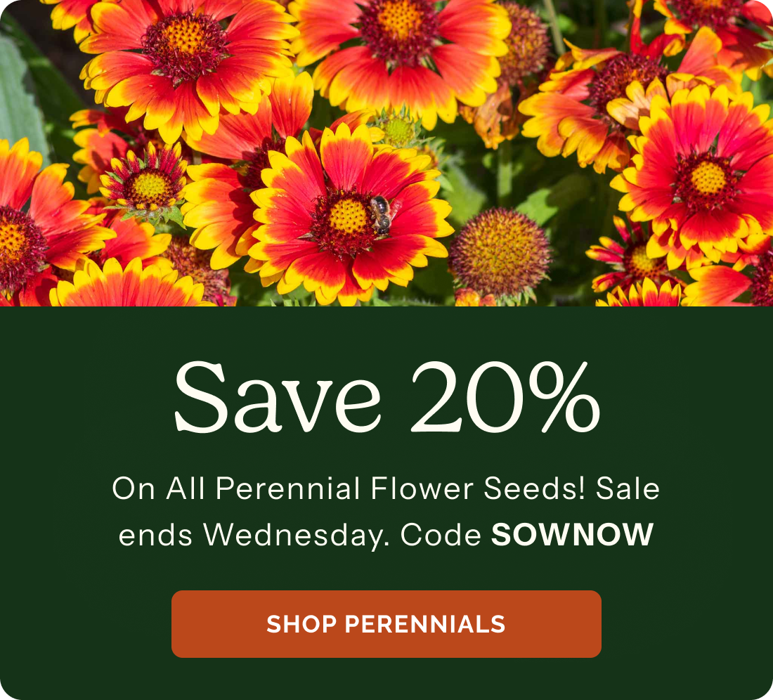 Save 20% On all perennial flower seeds! Sale ends Wednesday. Code SOWNOW