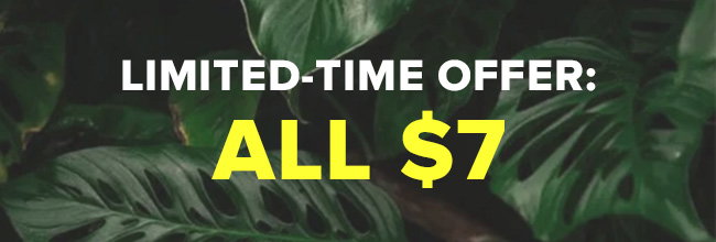 all $7