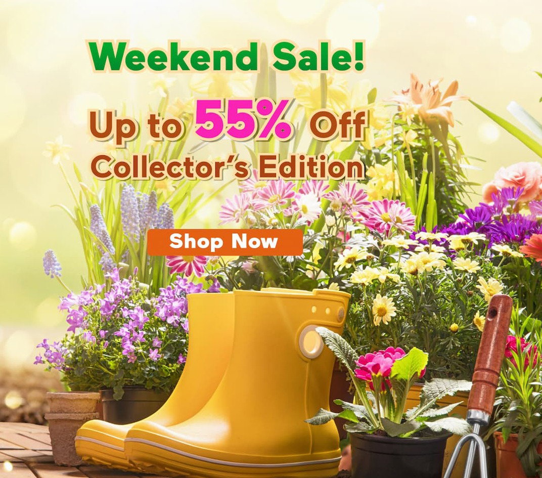Up to 55% OFF