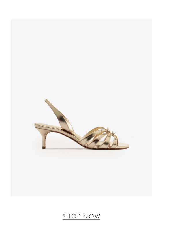 GOLDEN TONES | SHOP NOW
