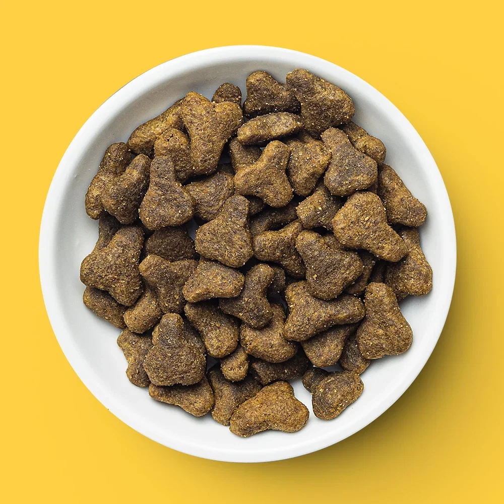 Dog Food