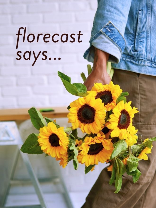A person in a denim jacket holds a bright bunch of sunflowers at their side; Text reads: 
