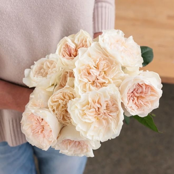 Christina's Wedding Roses