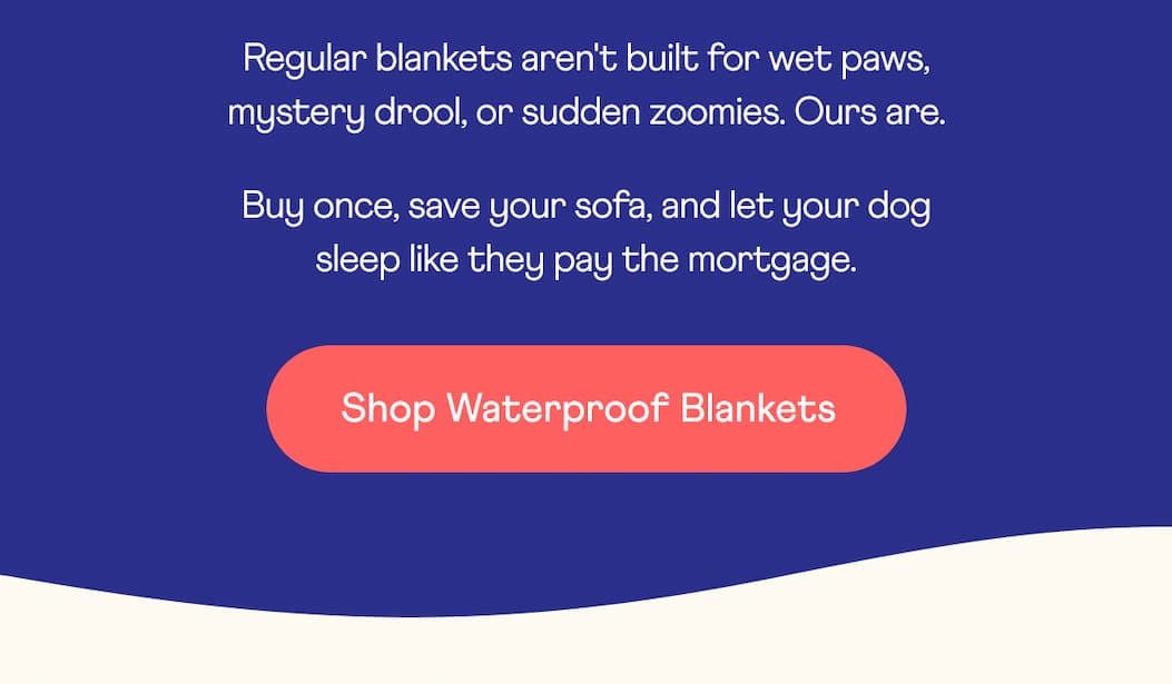Regular blankets aren't built for wet paws, mystery drool, or sudden zoomies. Ours are.  | Shop Waterproof Blankets