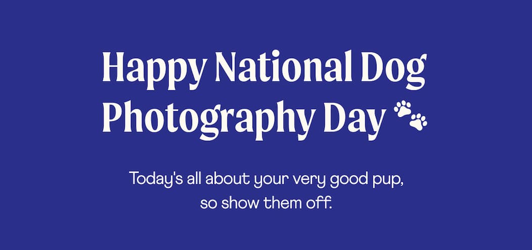 Happy National Dog Photography Day 🐾