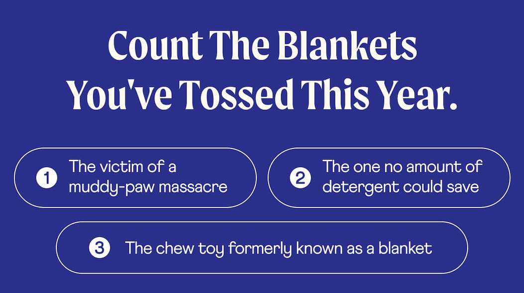 Count the blankets you've tossed this year.  1. The victim of a muddy-paw massacre  2. The one no amount of detergent could save 3. The chew toy formerly known as a blanket