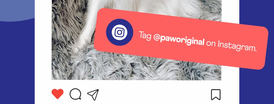 🏷️ Tag @PAWORIGINAL on Instagram.