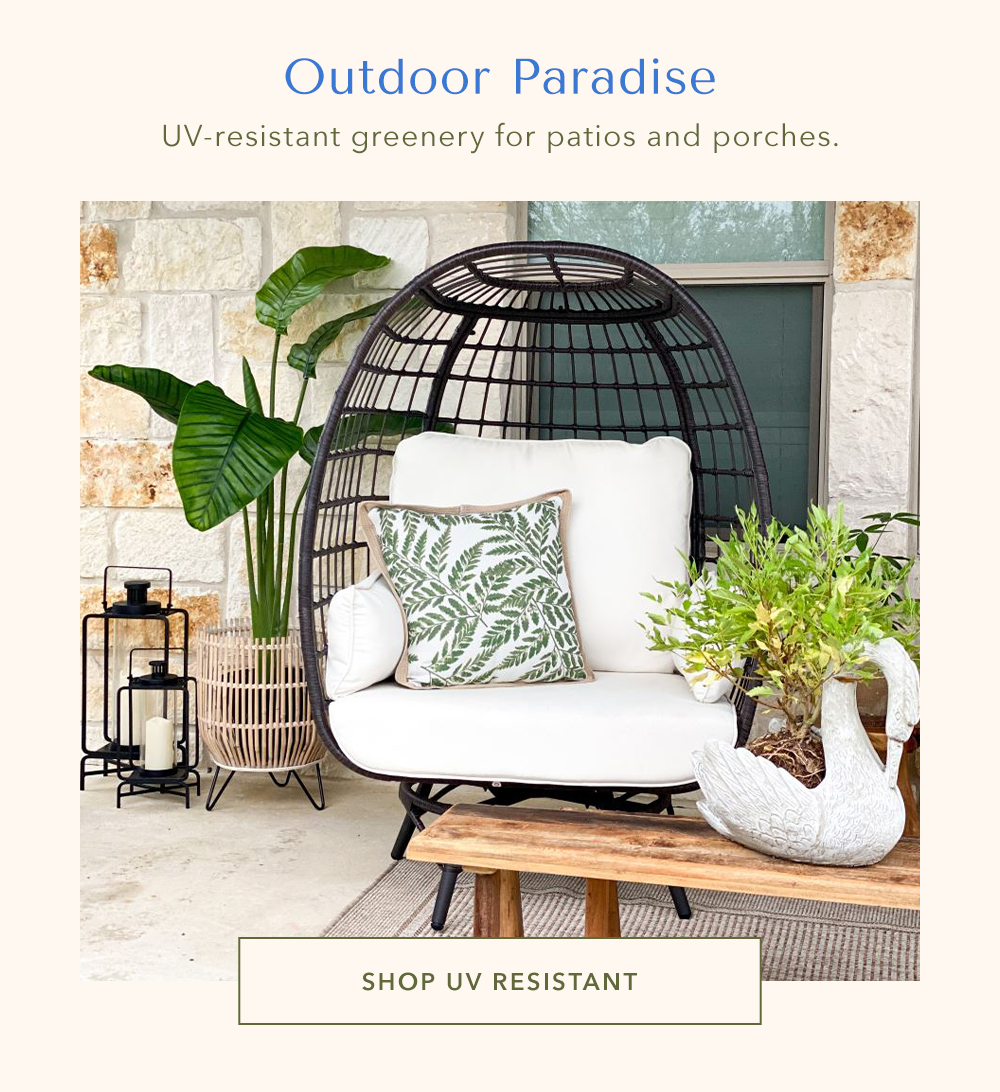 Outdoor Paradise