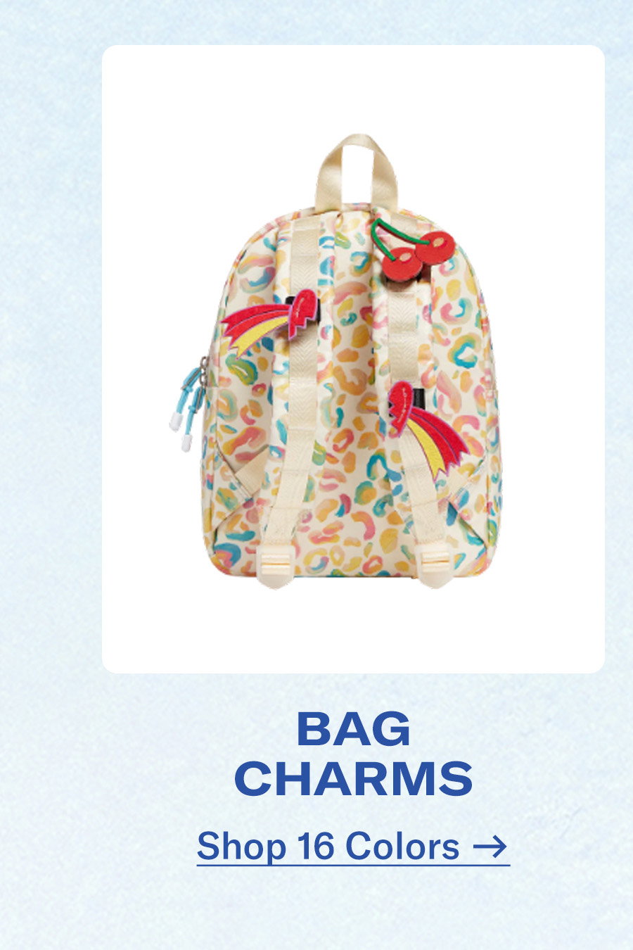 SHOP BAG CHARMS
