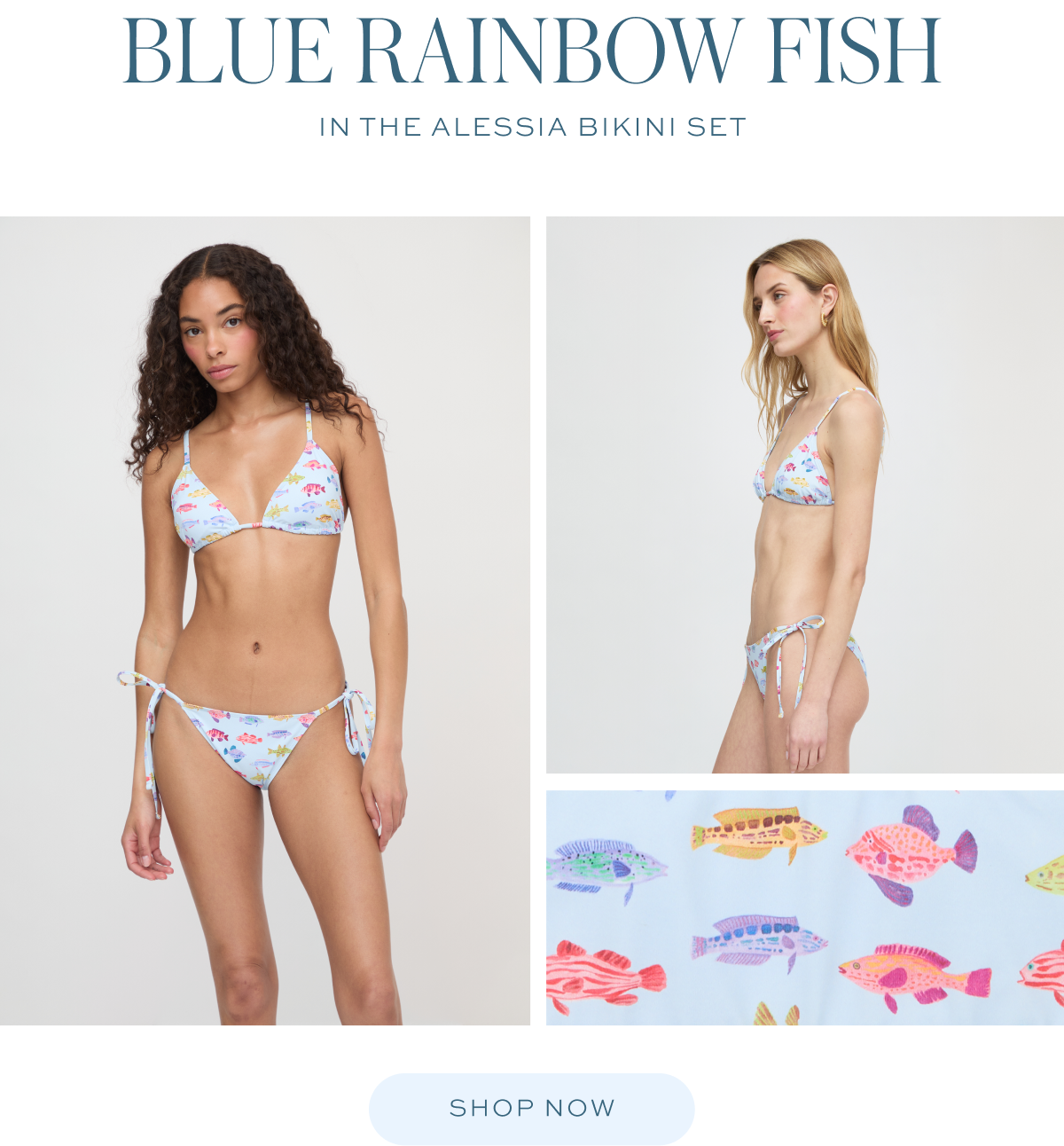 Blue Rainbow Fish