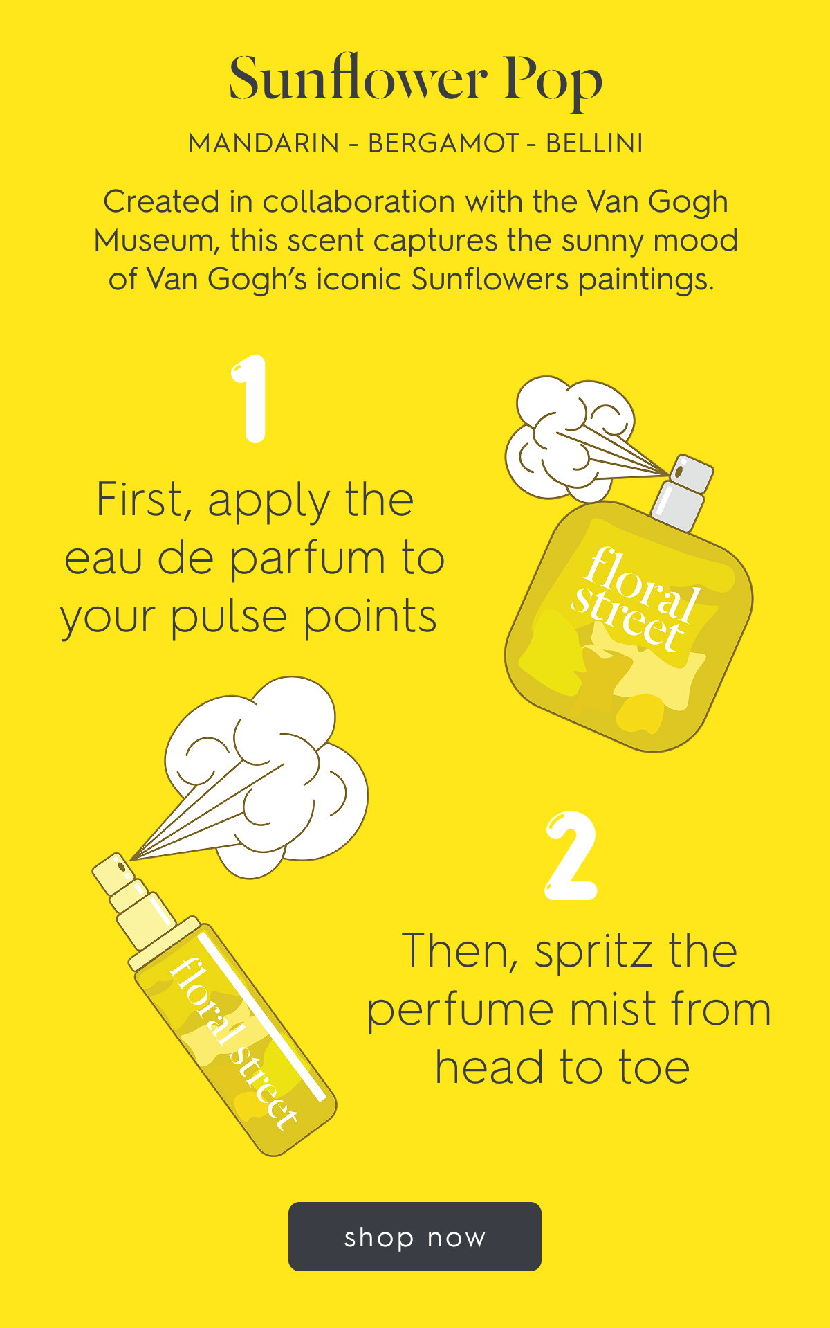 The Sunflower Pop Collection