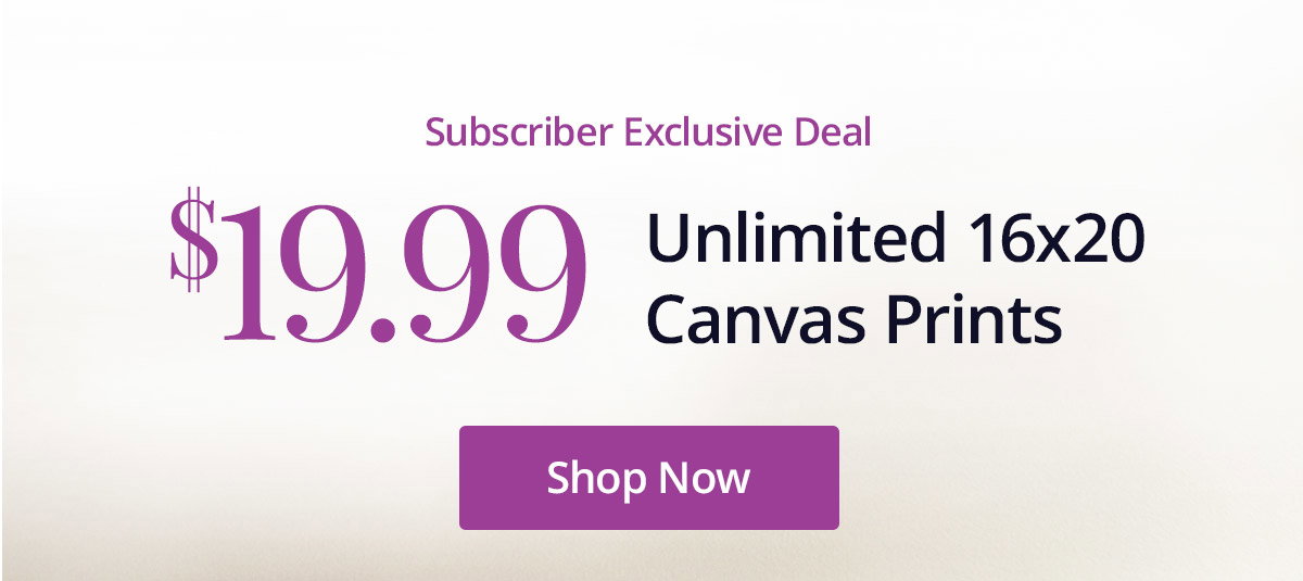 Subscriber exclusive deal! Unlimited 16x20 Canvas Prints for $19.99 each! Shop Now