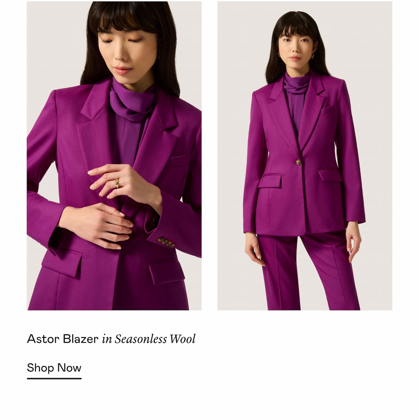 Astor Blazer in Seasonless Wool