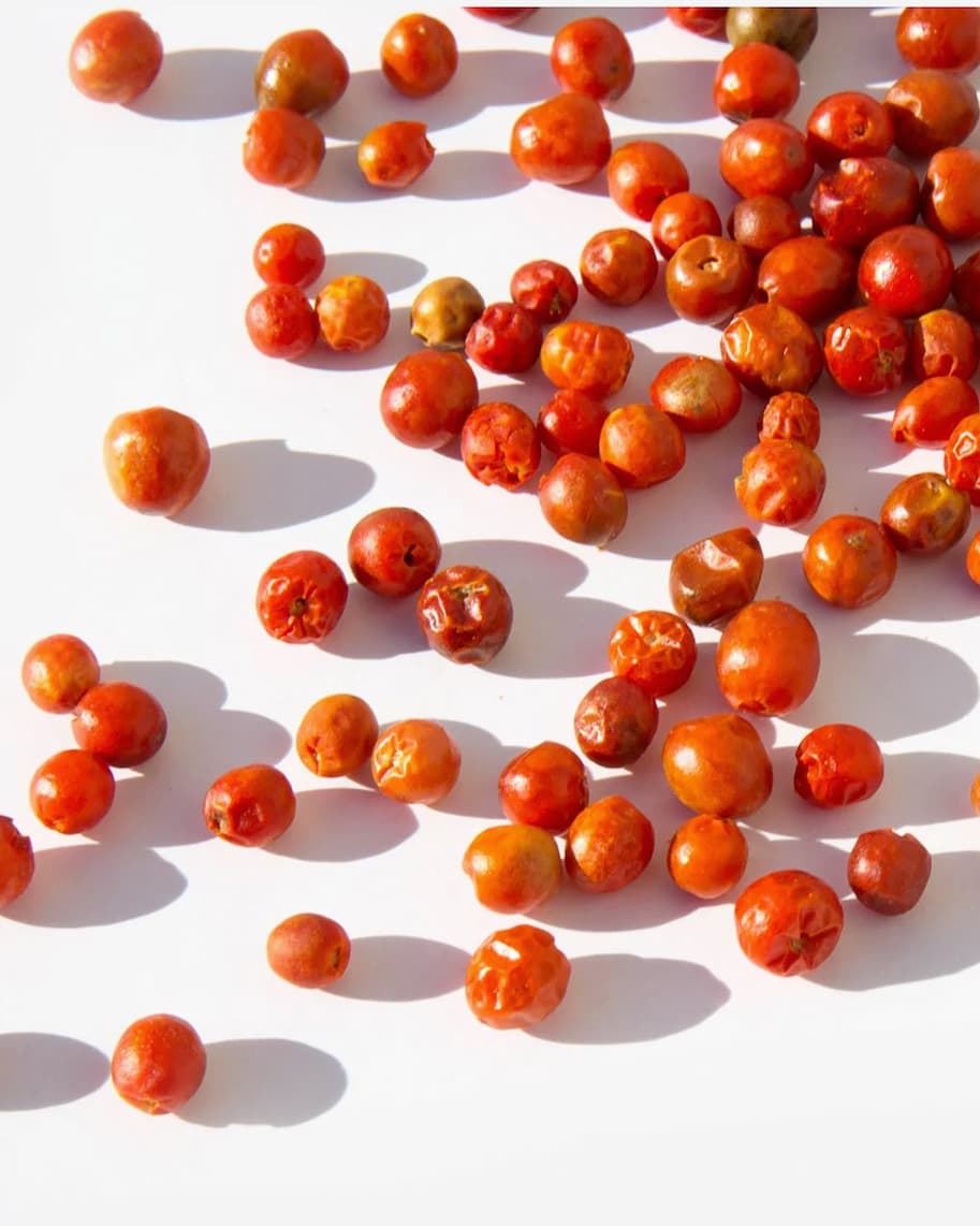 chiltepin