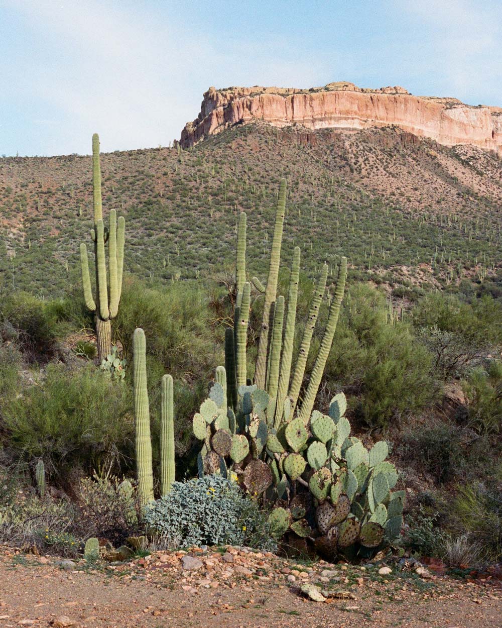 southwest
