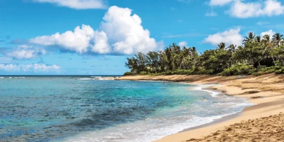 The Best Things to Do in Hawaii