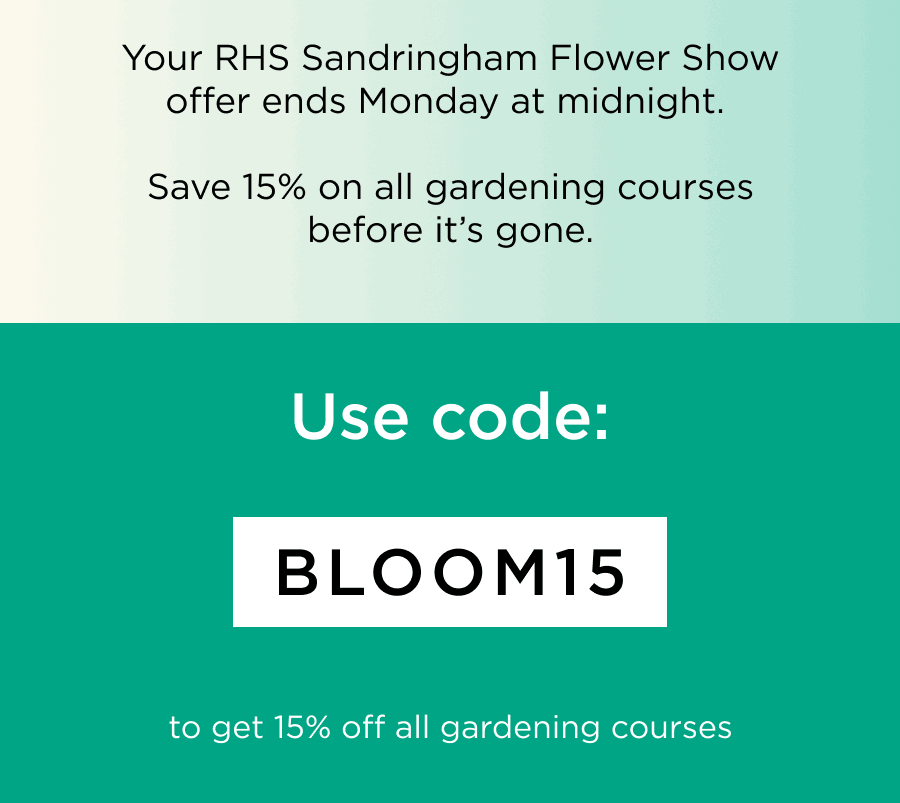 BLOOM15