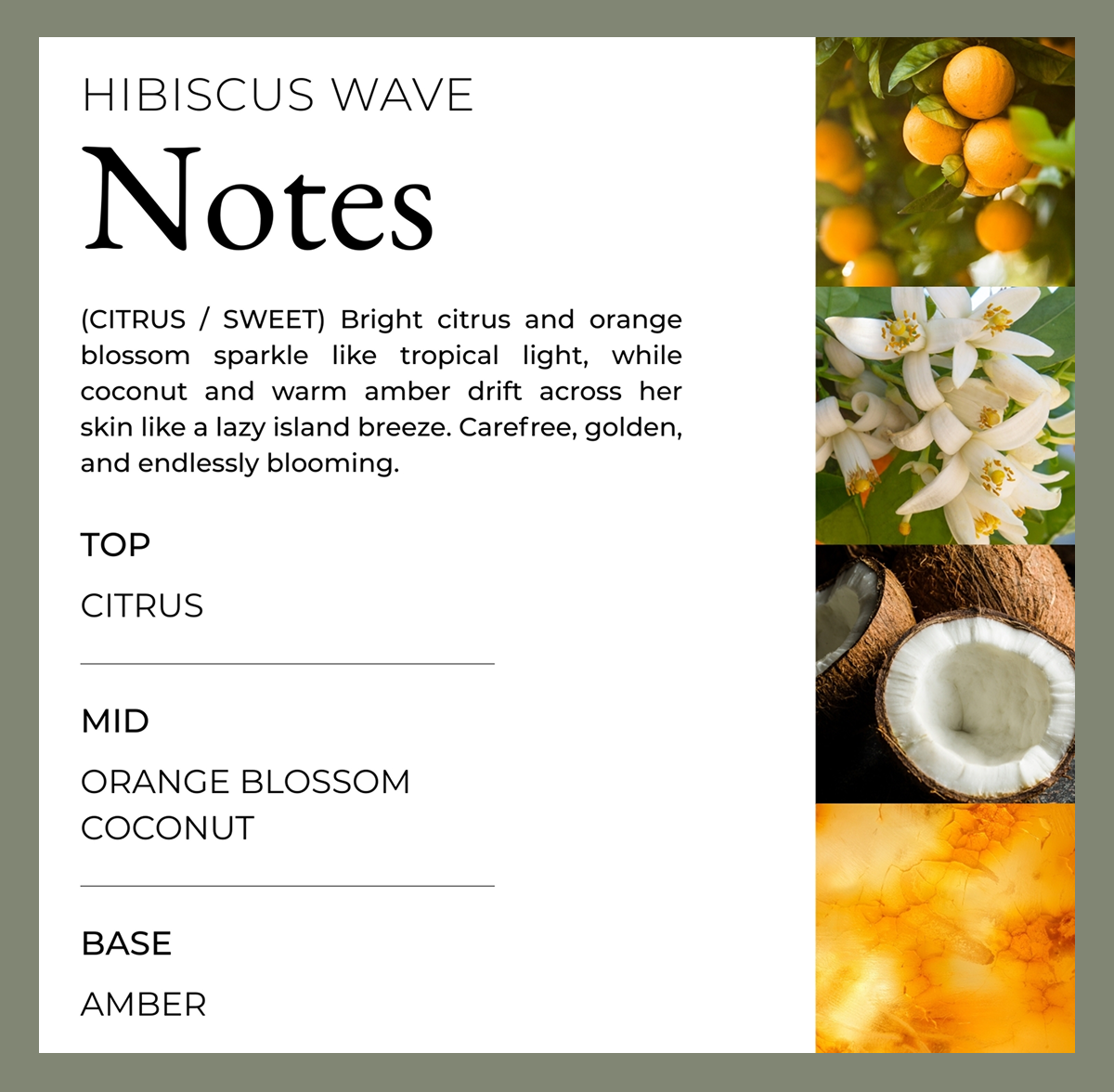 home-and-body-hibiscus-wave