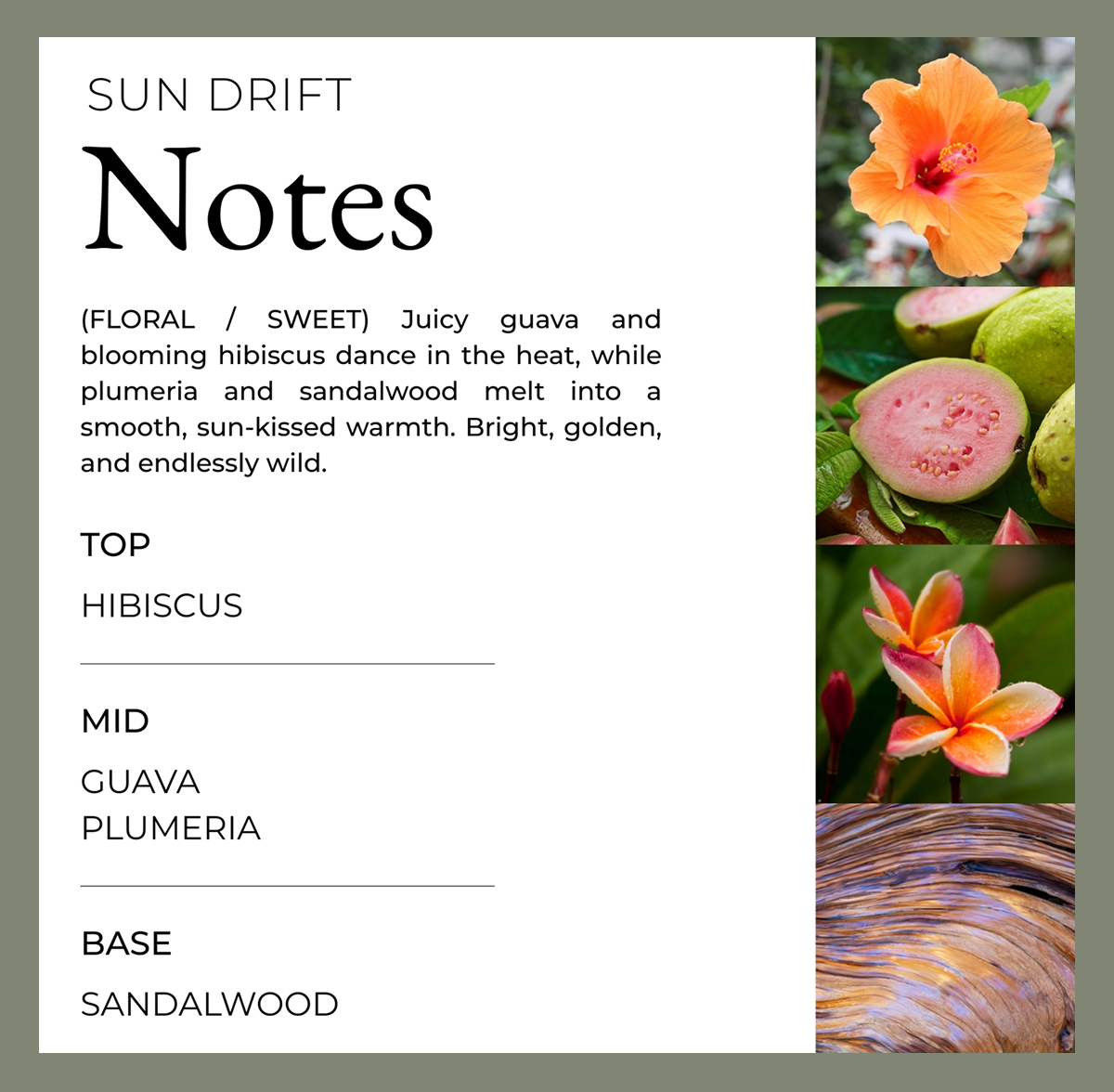 home-and-body-sun-drift
