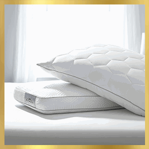 All Supportive Pillows