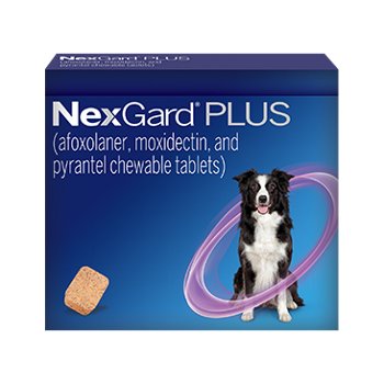 NexGard Plus