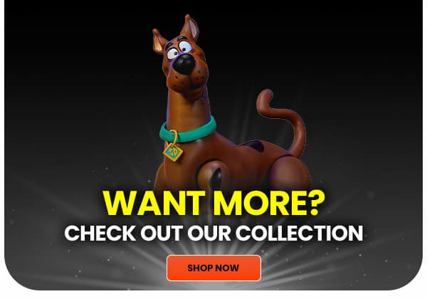 Want More? Check Out Our Collection Shop Now 