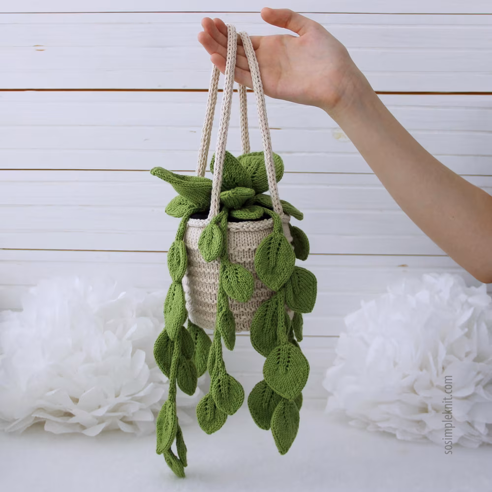 Knitted Pothos Hanging Plant
