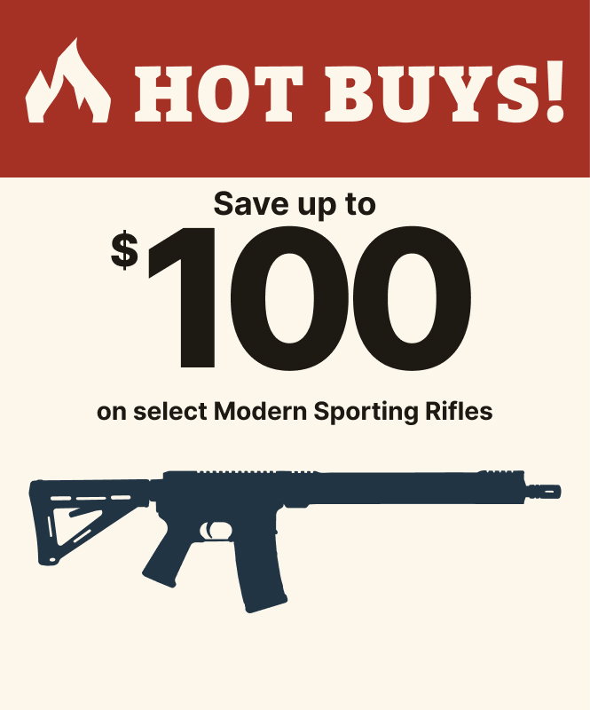 Save Up to $100 on Select MSRs