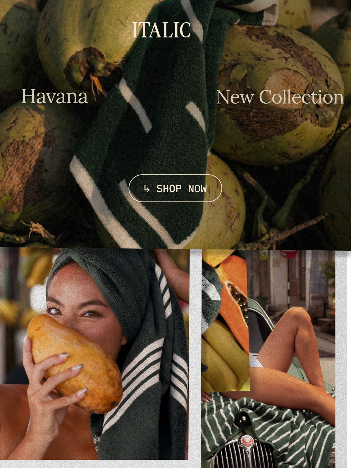 ITALIC | The Havana Collection