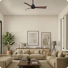 Ceiling Fans