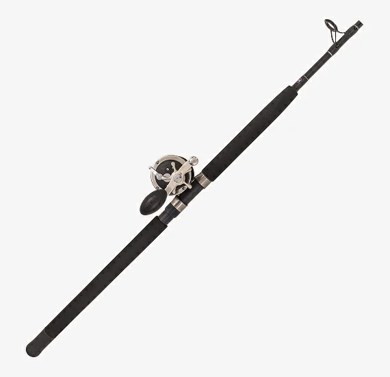 Penn GT Overhead Combo