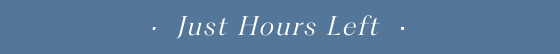 Shop The Sale