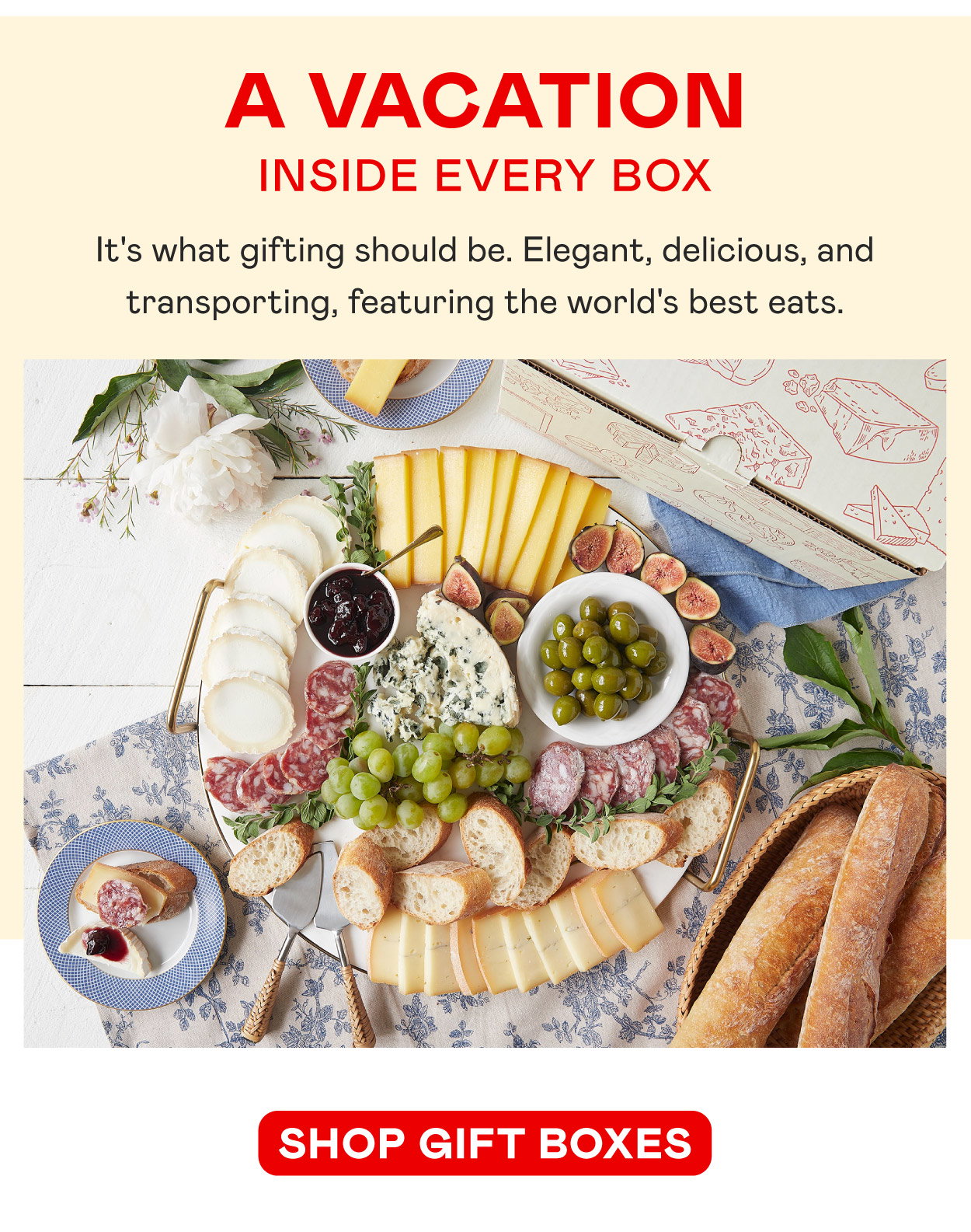 A Vacation Inside Every Box
