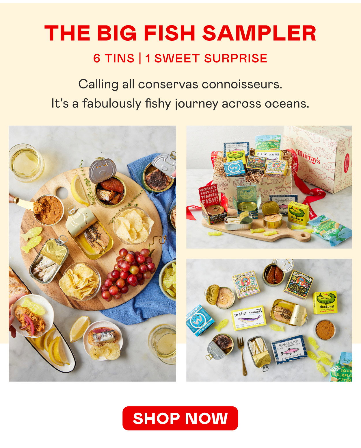 The Big Fish Sampler​