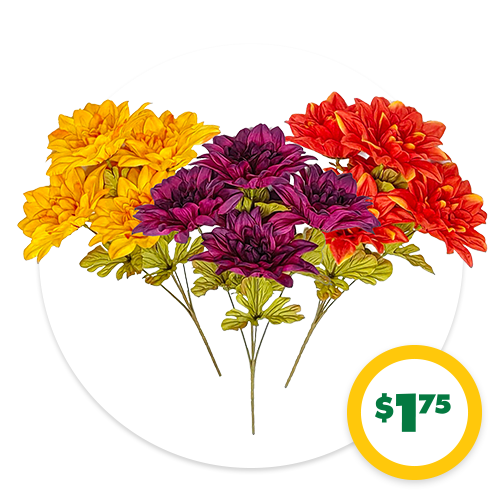 $1.75 Dahlia Bushes, 1-ct.